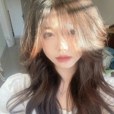 一条叫王子的狗